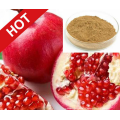 Precio razonable Extracto de fruta de granada 50% polifenoles, 2% ácido elágico